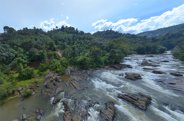 luxury resort in munnar