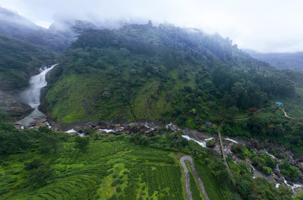 luxury resort in munnar