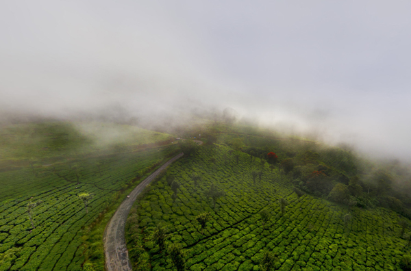 luxury resort in munnar