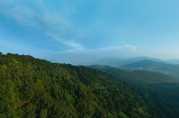 luxury resort in munnar