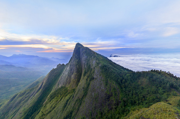 luxury resort in munnar