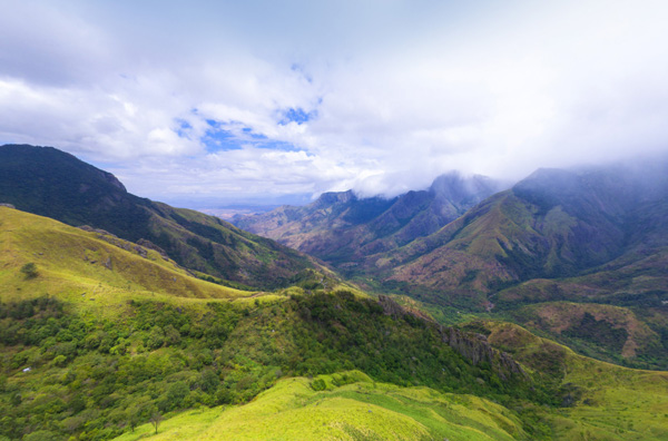 luxury resort in munnar