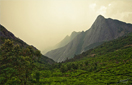 Kolukkumalai